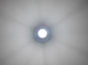 ignorancia posmoderna siglo