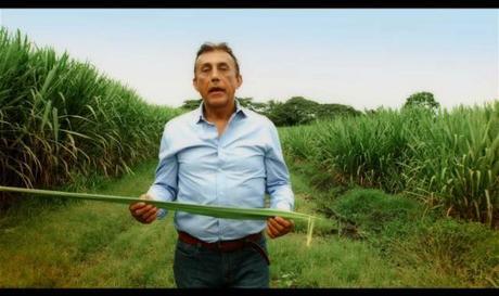 Apoya a Jorge Borrero en el Gran Inventor, no a la tala de árboles Apoya a Jorge Borrero en el Gran Inventor, no a la tala de árboles