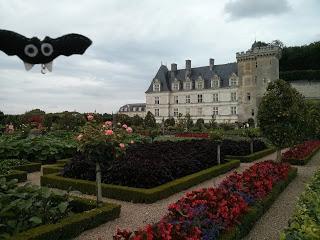 La ruta de los Castillos del Loira (II)