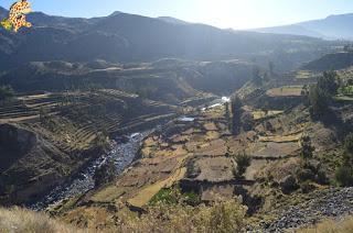 Qué ver en el Valle del Colca?