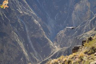 Qué ver en el Valle del Colca?