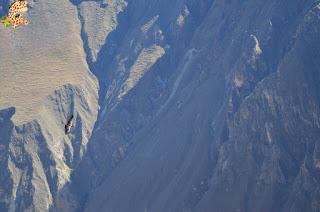 Qué ver en el Valle del Colca?