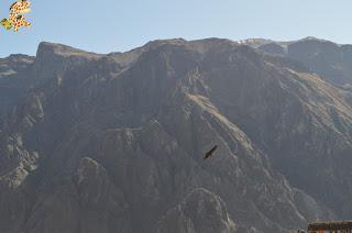 Qué ver en el Valle del Colca?