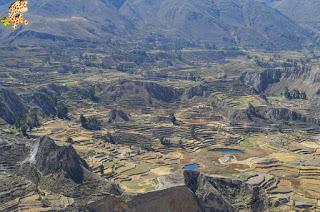 Qué ver en el Valle del Colca?