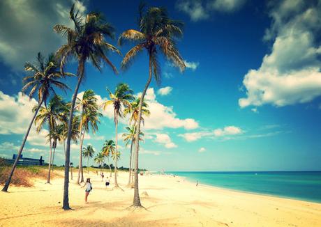 Fotosvacasdicendeti0