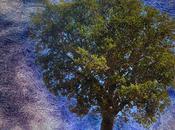 Venerdí Photosatriani