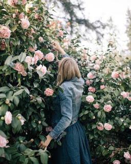 Reseña|| Herbarium. Las flores de Gideon- Anna Casanovas