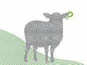 Hablemos Libre pensamiento.Cómo dejarse engañar Alonso Barán