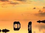 ETAPAS VIDA, seres conscientes