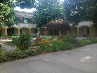 Arlés verdiazul, suave encanto mediterráneo