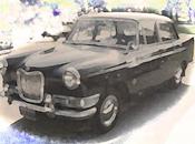 auto murió