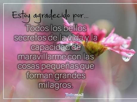 Hoy Quiero Agradecer Por...