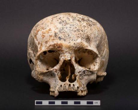 Reconstruyen el rostro de Ava, una joven muerta hace 3.700 años