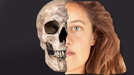 Reconstruyen el rostro de Ava, una joven muerta hace 3.700 años