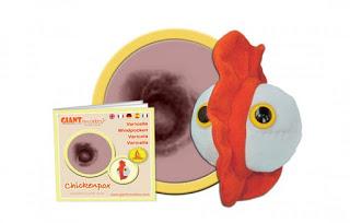 El Ébola, los peluches y el mercantilismo.