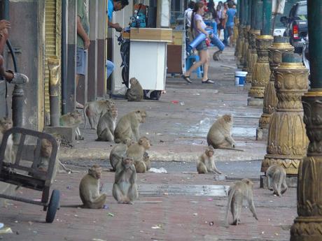 PHRA PRANG SAM YOD EL TEMPLO DE LOS MONOS EN LOPBURI TAILANDIA