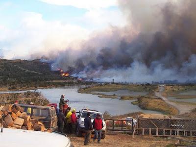 Junio en Fotos: Día 29