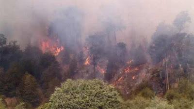 Junio en Fotos: Día 19