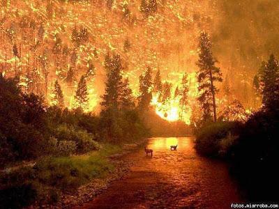 Junio en Fotos: Día 16