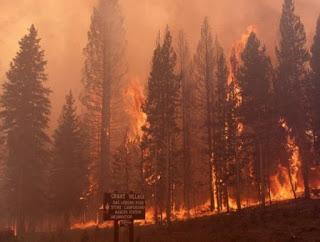 Junio en Fotos: Día 15