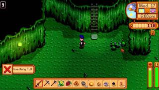 Stardew valley