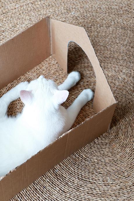 DIY: cómo hacer una caseta de cartón para tu mascota DIY: cómo hacer una caseta de cartón para tu mascota