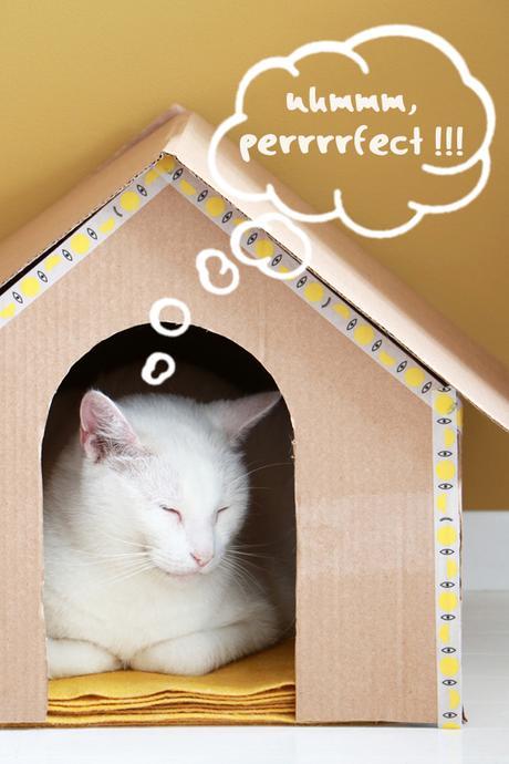 DIY: cómo hacer una caseta de cartón para tu mascota Do it yourself, pets house