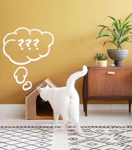 DIY: cómo hacer una caseta de cartón para tu mascota DIY: cómo hacer una caseta de cartón para tu mascota