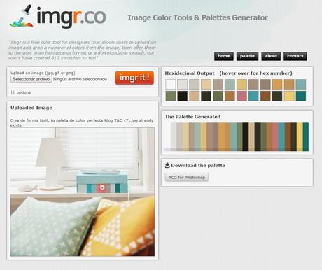 Crea de forma fácil tu paleta de color perfecta - Blog T&D 