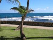 nadadores tengan verano seguro