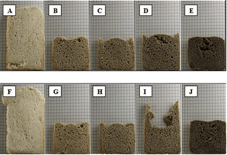 Pan saludable gracias al teff. Estudio de UPM