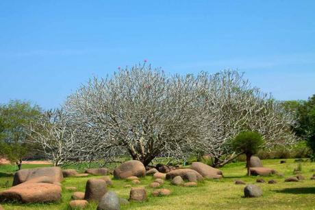 AUROVILLE. CONOCE LA CIUDAD DONDE NO EXISTE EL DINERO, LA RELIGION O LA POLITICA