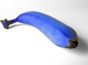 “Banana azul”.