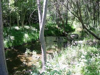 Los Estrechos del Ebrón desde Tormón hasta El Cuervo