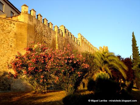 Escuela y ciudad de gloria tanta