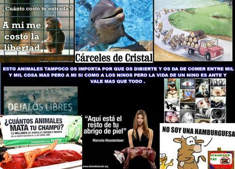 Tu silencio es su tortura y muerte