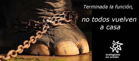 Tu silencio es su tortura y muerte