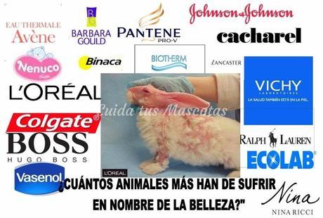 Tu silencio es su tortura y muerte