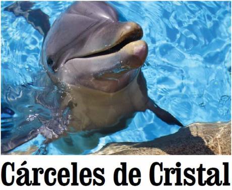 Tu silencio es su tortura y muerte