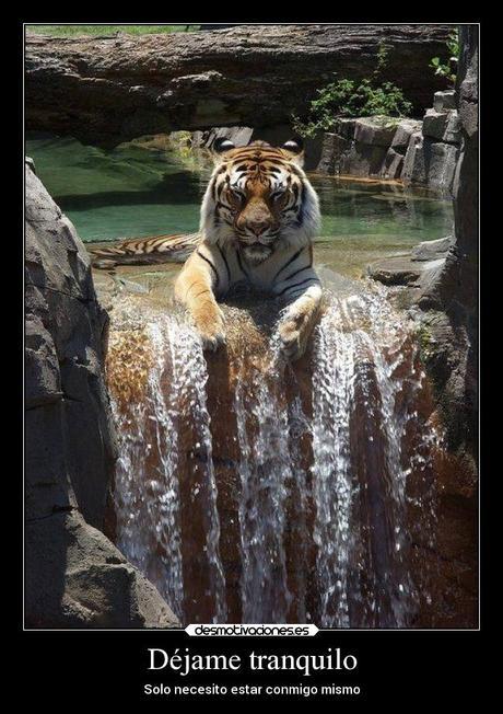 No es un suicidio es un asesinato de crueldad y insolidaridad.