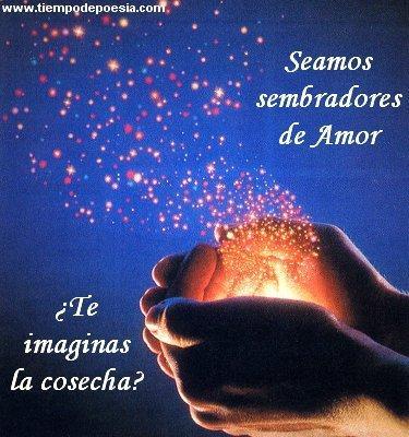 No comprendo a lo seres de luz.