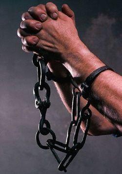 No comprendo a lo seres de luz. No comprendo a lo seres de luz.