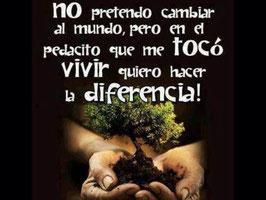 No comprendo a lo seres de luz.