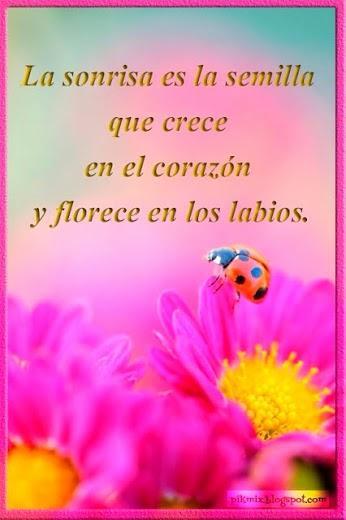 Hasta aquí llego esclavo de vosotros mismo primera parte