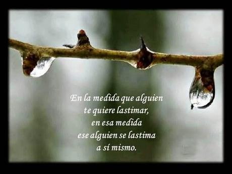 Hasta aquí llego esclavo de vosotros mismo primera parte