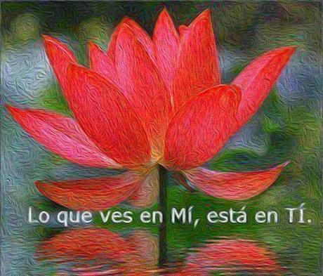 Hasta aquí llego esclavo de vosotros mismo primera parte