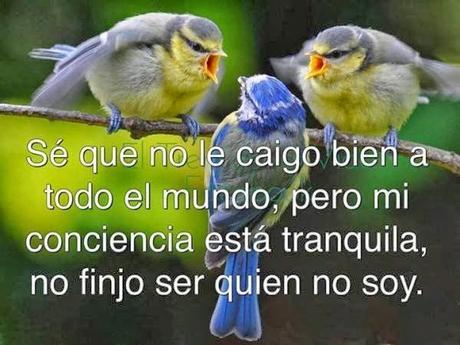 Hasta aquí llego esclavo de vosotros mismo primera parte