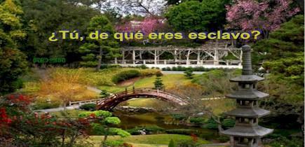 Hasta aquí llego esclavo de vosotros mismo primera parte