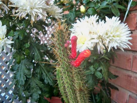 Hasta aquí llego esclavo de vosotros mismo primera parte