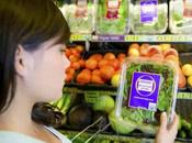 Tratando concebir: ¿Qué alimentos debe comer?